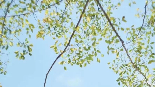 十日谈 | 小李与老李