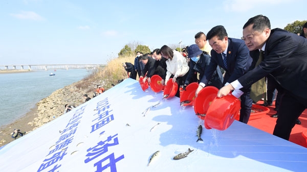 江苏扬中：连续22年放流鱼苗2300万尾 助力长江渔业资源恢复