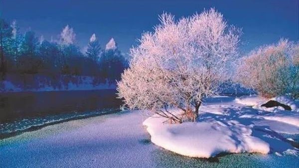 读书 | 荆歌：身如飘萍，命若琴弦一一读汤海山《冰雪秋笳》