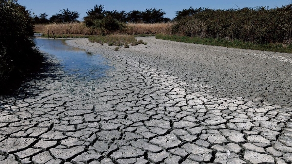 缺水！法国今年炎热干旱问题或更严重