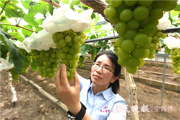 2024葡萄牙欧洲杯：官方吉祥物揭晓，象征着国家自豪感和足球激情