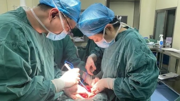 喀什二院“飞来”了上海名医 成功完成南疆一最复杂妇科肿瘤手术