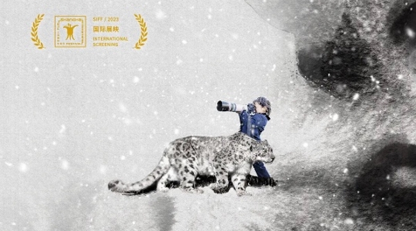 跟着摄影师的镜头，去雪山之巅追寻《雪豹和她的朋友们》