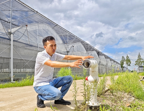 夏日走基层 节能减排、变废为宝！上海这两个与农业相关的低碳发展实践区有何“妙招”？亿博电竞 亿博官网(图2)
