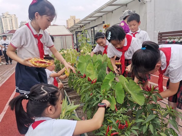 为建设美丽上海 年轻人可以这么做！上海推出青少年助力绿星空体育app登录入口色发(图1)