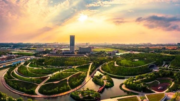 “生态之城”瞭望台 | 在上海市中心最大的开放式公共绿地，建起一座宝鸟栖居、草木旺盛的“桃花源”