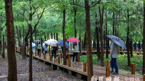 “环上”公园如明珠，“环内”绿地似绿毯，上海加快推进环城生态公园带建设 | 公园城市