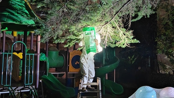 金山一幼儿园惊现马蜂窝 公安消防携手消除隐患