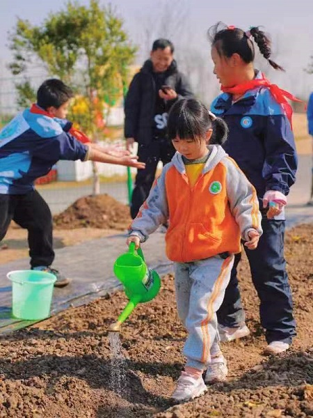菜园里有完美电竞小幸福宝山罗泾镇共享志愿服务系列之共享菜园反响热烈(图3)