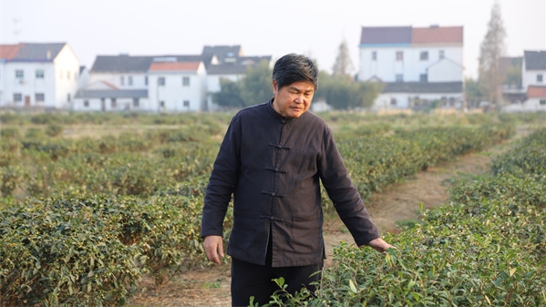 普通人的“上海故事”｜扎根沪郊，这位闽北茶人打造上海“本帮茶”