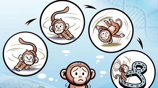强迫症研究领域最新发现：中国科学家发布强迫症样猕猴模型