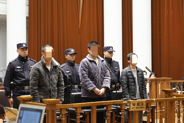 3人运营多个盗版小说APP 闵行法检两长同庭审理这起涉嫌侵犯著作权罪刑事案件(图1)