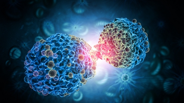 同济团队找出肿瘤细胞“帮凶” 成果发表于《细胞》