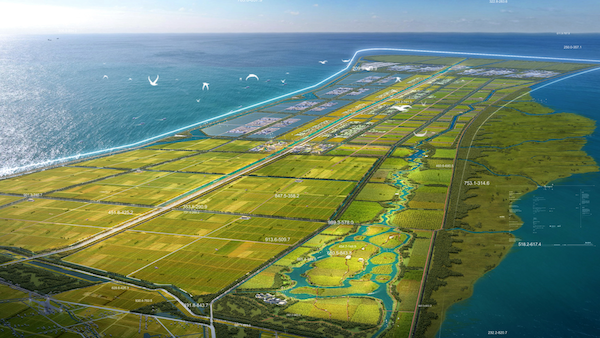 中韩现代农业合作提速助力横沙新洲打造成为世界级现代都市生态绿色农业示范区(图2)