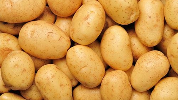 土豆的N种保存法
