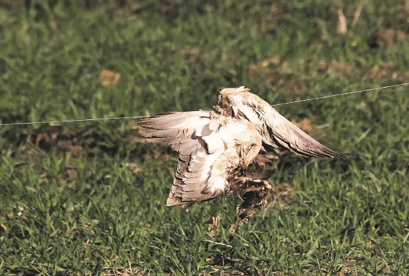 《真況足球2018》專區上線 絕寫綠茵單雄傳奇