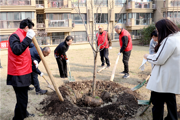 第 46 回植樹の日、金山区石華街はここで一緒に春を「植え」、未来を「木」にします