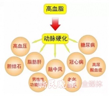 奇异果体育网址康健园 只有肥胖人群会患高血脂吗？(图1)