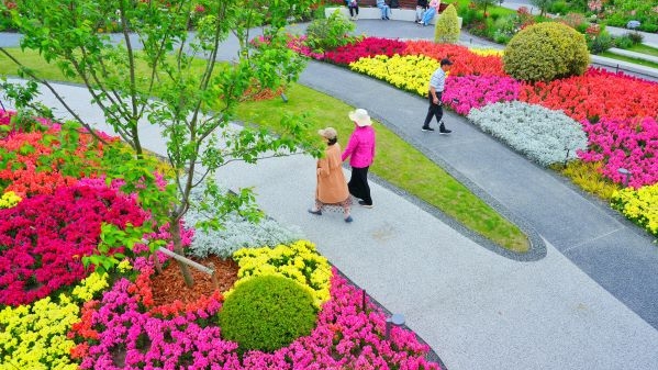 上海（国际）花展向市民发出文明观展倡议：带上“文明”来赏花