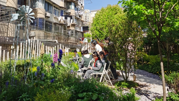 小区“被遗忘的角落”获新生，这一街道首个低碳生境花园启用