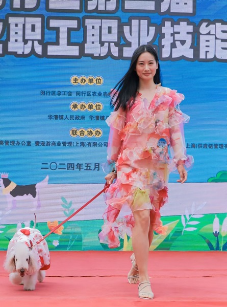 给狗狗搭配服饰做造型设计餐食……闵行为这个行业举办技能竞赛