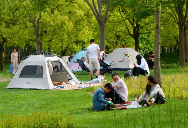 公园搭帐篷天幕怎么规范管理？这场座谈会邀请各界“问诊把脉开方”koko体育平台(图3)