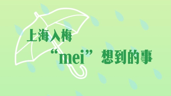 梅雨季宝典请收下