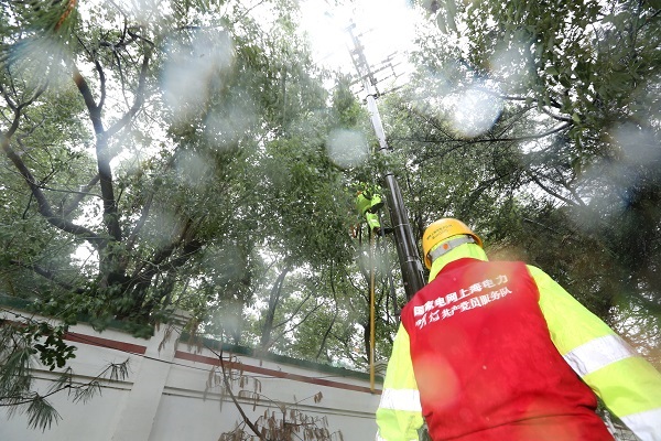 超高树枝碰出线路故障 金山供电公司快查后已恢复供电