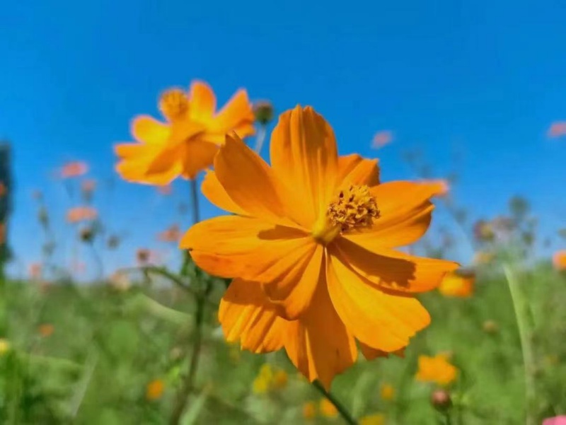 百科