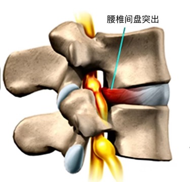 二维码 二维码