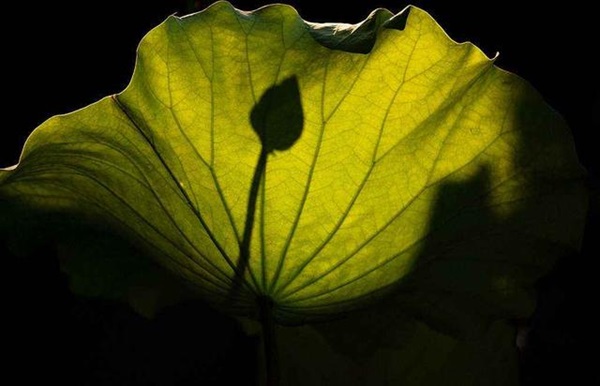 时间规划局如何置顶 时间规划局置顶显示时间方法介绍【详解】