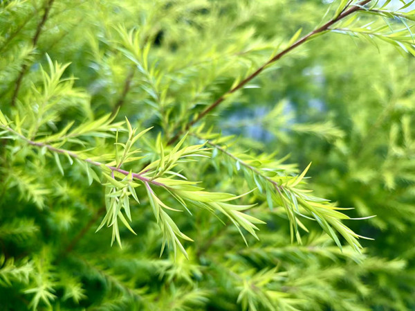 知识