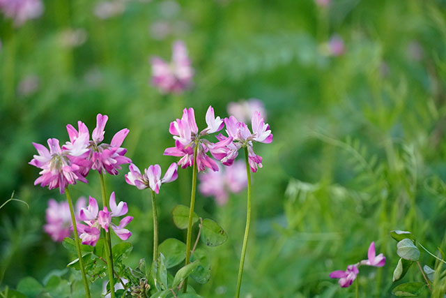 季节：我的母校