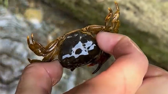 焦点