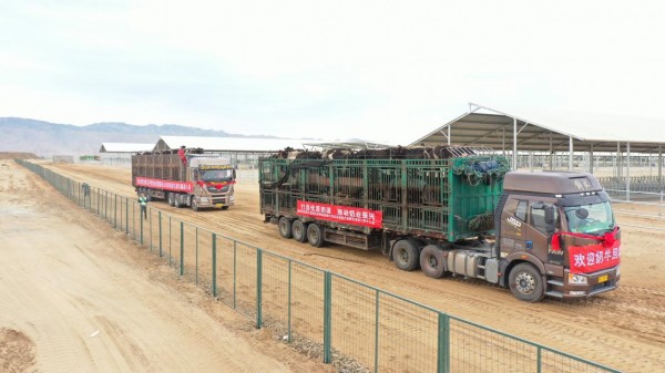 中国乳业产业园建设进行时  “蒙牛模式”推进中国乳业产业园建设高质量发展