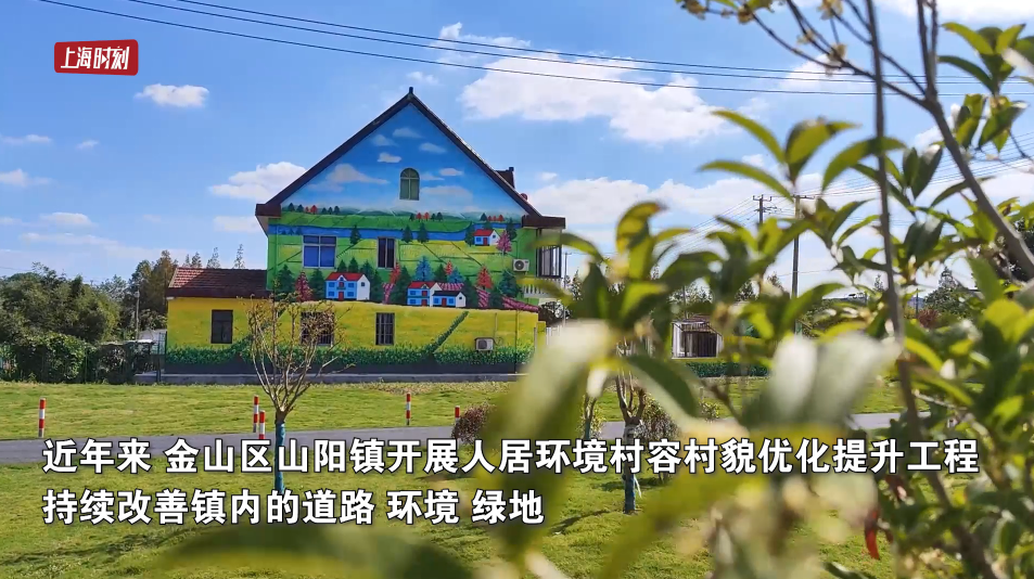 视频 | 美丽乡村入画来