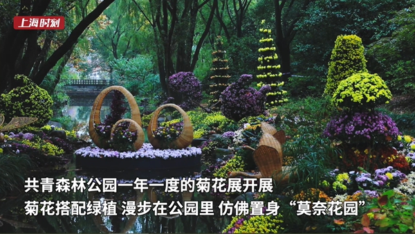 联合上海团市委发布“小叶子”数字徽章 小红书多种形式参与进博会