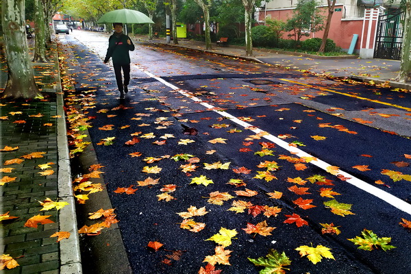 秋雨淅沥街景如画