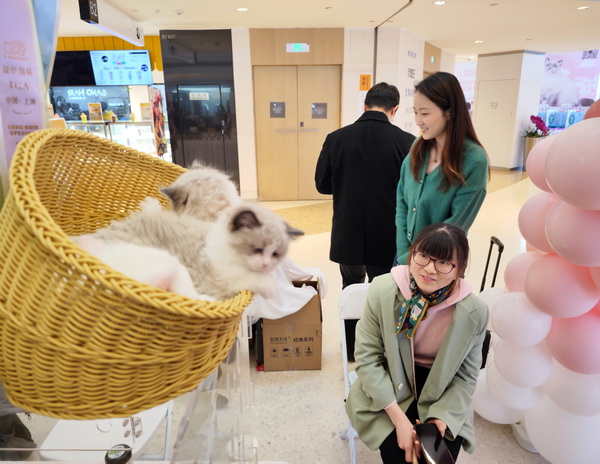 宠物经济火爆