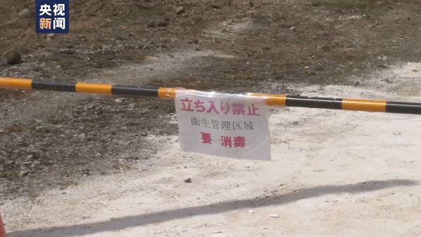 日本多地发生禽流感 鸡蛋供应短缺价格高涨