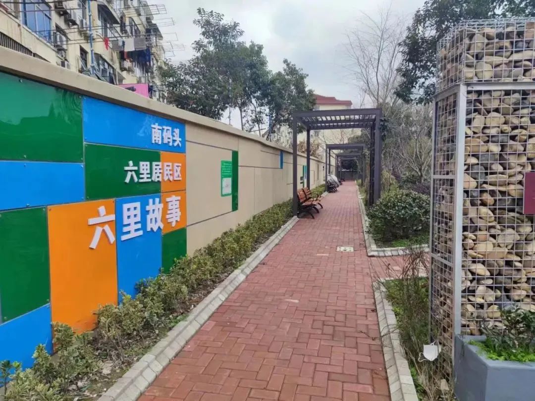 激发社区居民自治活力,打造美丽家园,他们这么做_浦东发布_新民网