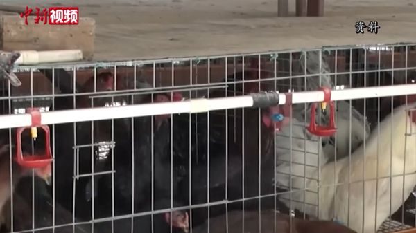 警惕！多国暴发疫情！已出现死亡病例