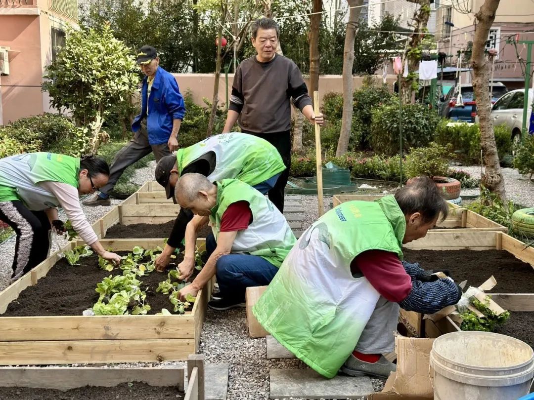 小区种植园升级!感受满满田园风_上海杨浦_新民网