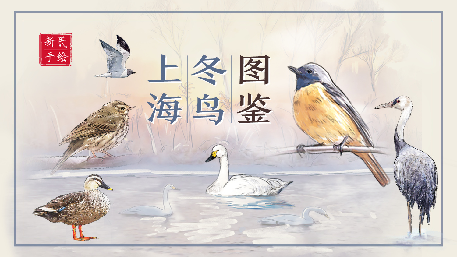 上海冬鸟图鉴