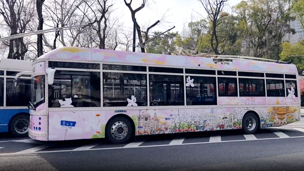 视频丨开往春天的巴士 百年公交20路换上粉嫩春日涂装