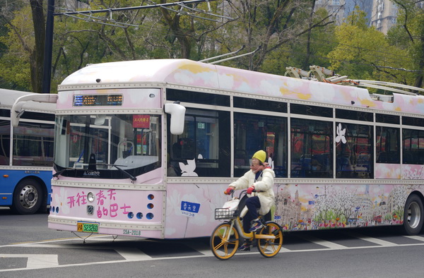 开往春天的巴士 百年公交20路换上粉嫩春日涂装