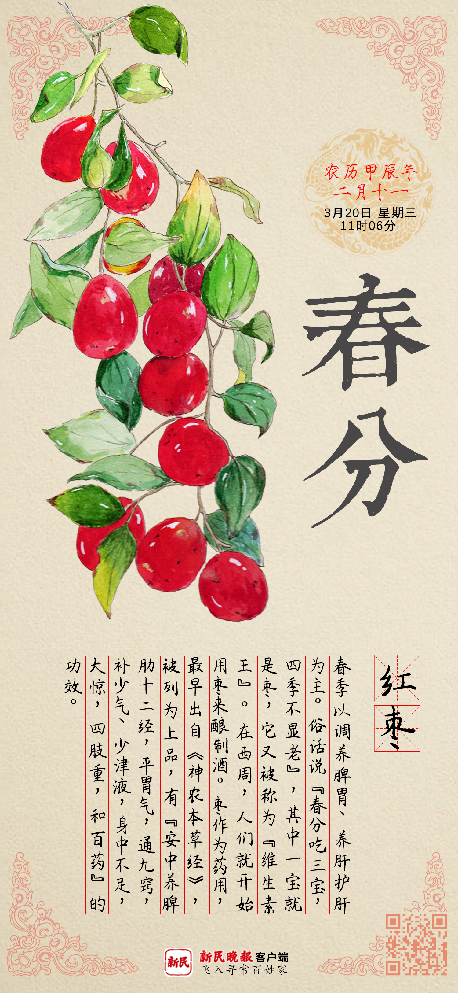 春分｜这味春天宜用的护肝养肝药，中国人食用已8000年，你可能也常吃