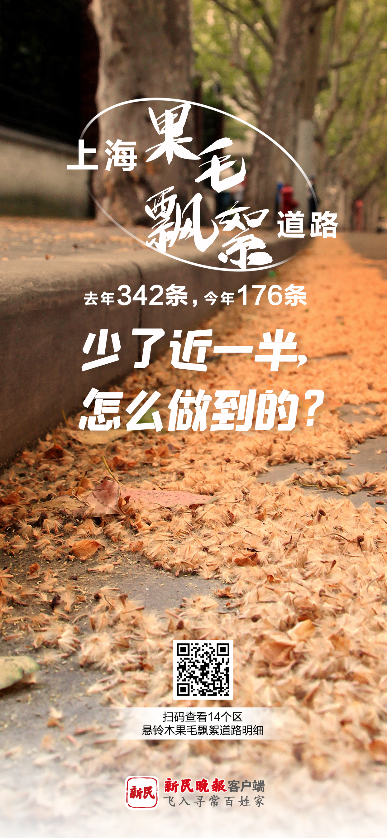 困扰上海人多年的它又来了！持续约1个月，各区道路分布公布！但今年有个好消息…
