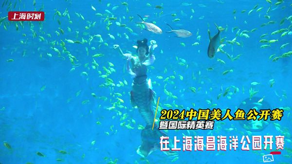 视频 | 百余“美人鱼”齐聚上海 2024首场中国美人鱼公开赛