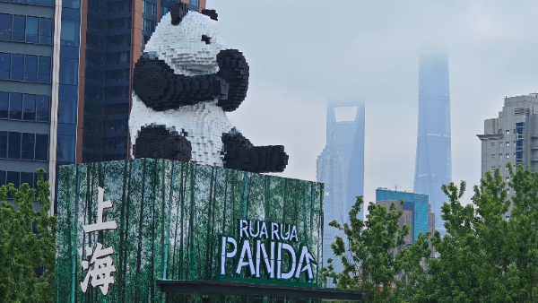 上海大熊猫浓度爆表！RUA不完，根本RUA不完